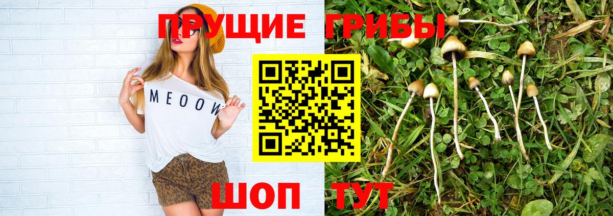 где продают   Псилоцибиновые грибы Psilocybe  Вход с VPN  Галлюциногенные грибы Magic Shrooms  Щёлково 