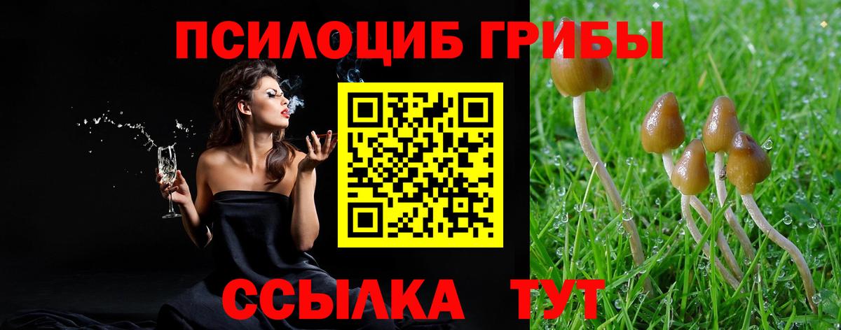 Псилоцибиновые грибы GOLDEN TEACHER Щёлково